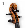 Violine Guarneri 02
